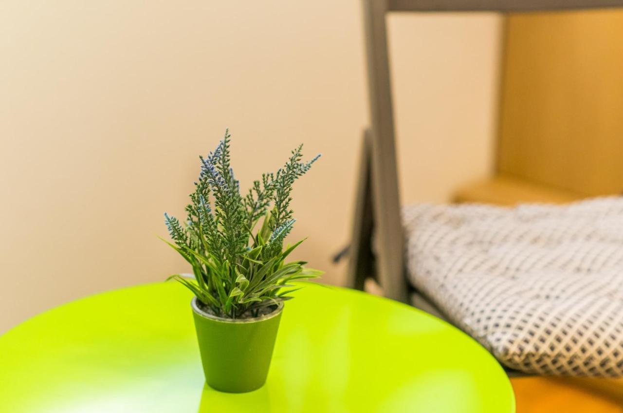 Guest house The Point 3*